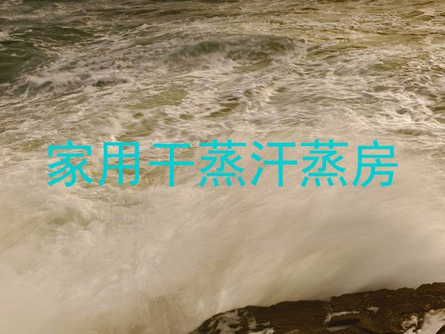 家用干蒸汗蒸房
