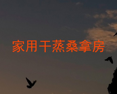 家用干蒸桑拿房