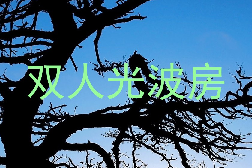 双人光波房