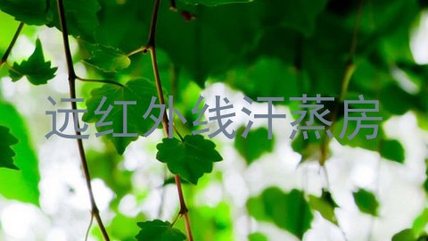 远红外线汗蒸房