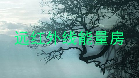 远红外线能量房