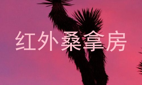 红外桑拿房