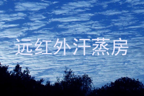 远红外汗蒸房