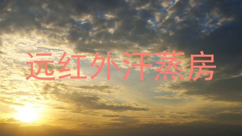 远红外汗蒸房