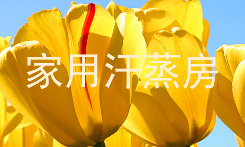 家用汗蒸房