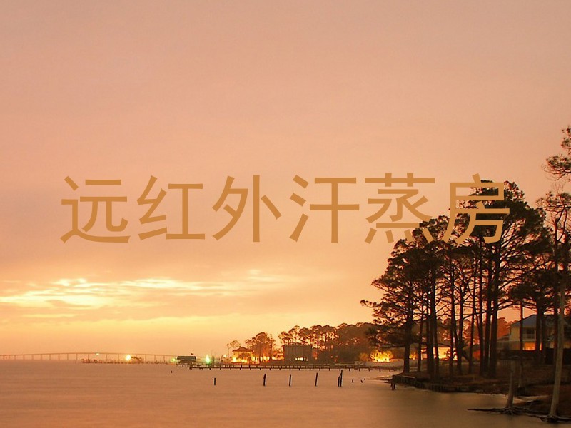 远红外汗蒸房