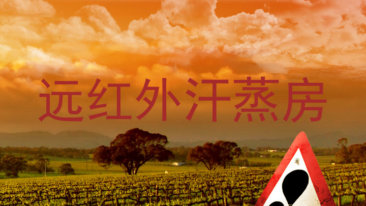 远红外汗蒸房