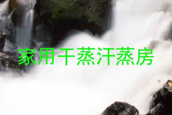 家用干蒸汗蒸房
