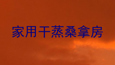 家用干蒸桑拿房