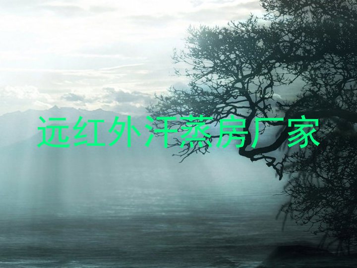 远红外汗蒸房厂家