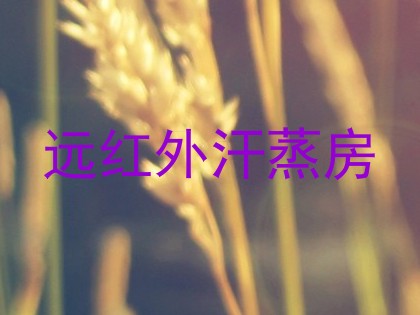 远红外汗蒸房