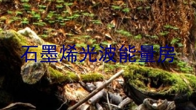 石墨烯光波能量房