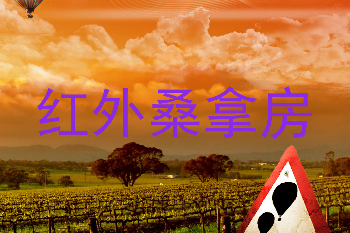 红外桑拿房