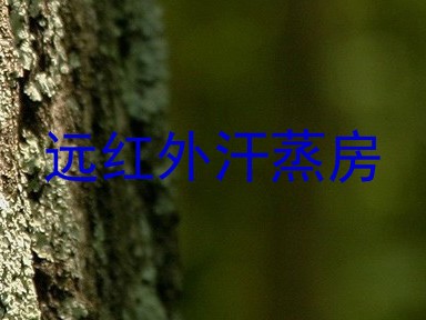 远红外汗蒸房