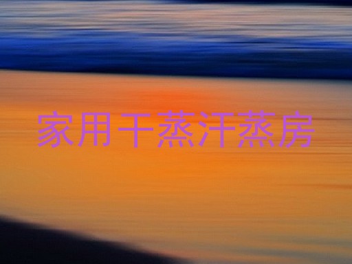 家用干蒸汗蒸房