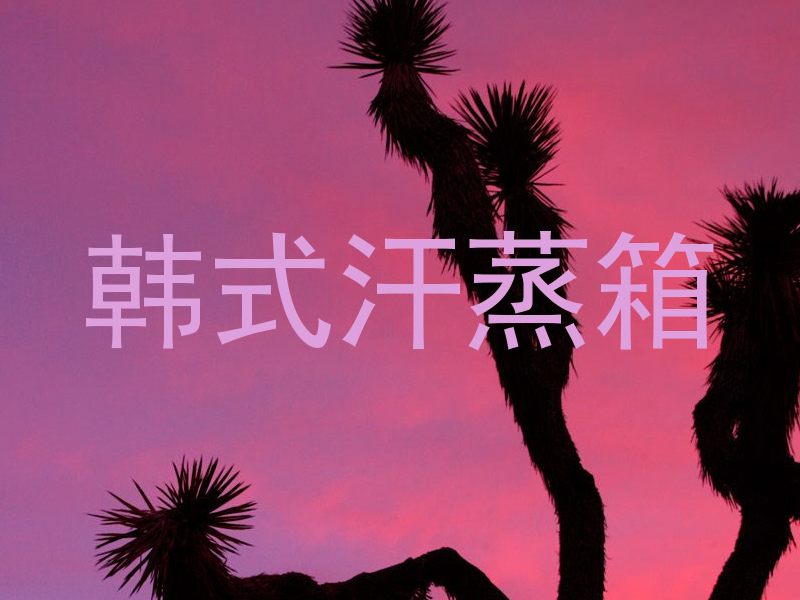 韩式汗蒸箱