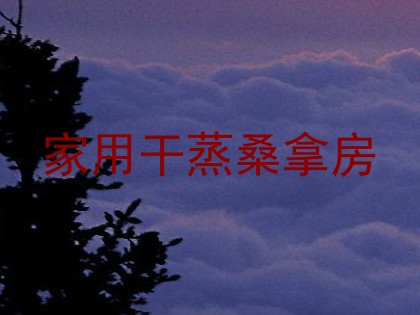 家用干蒸桑拿房