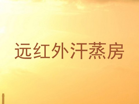 远红外汗蒸房