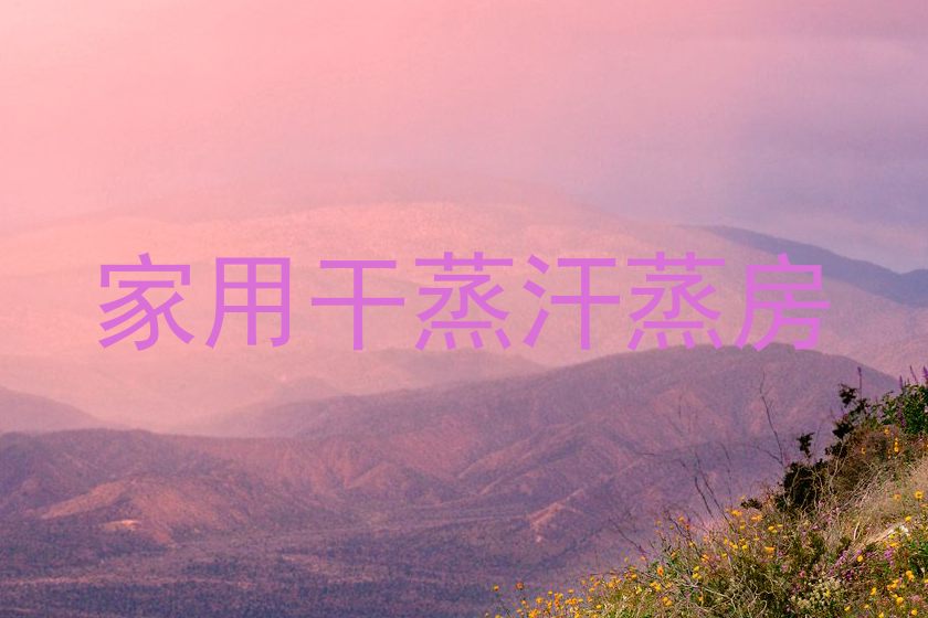 家用干蒸汗蒸房