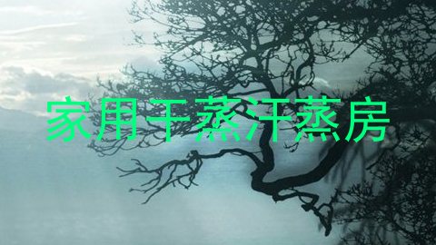 家用干蒸汗蒸房