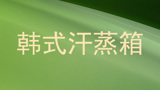 韩式汗蒸箱