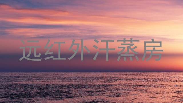 远红外汗蒸房