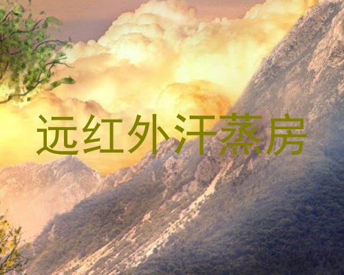 远红外汗蒸房