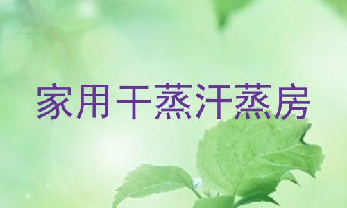 家用干蒸汗蒸房