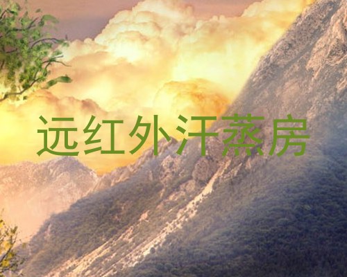 远红外汗蒸房
