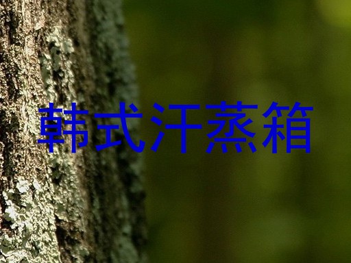 韩式汗蒸箱