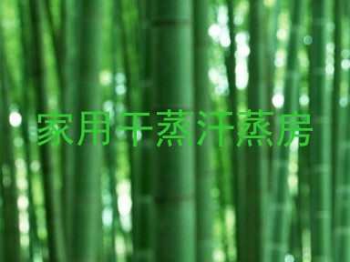 家用干蒸汗蒸房