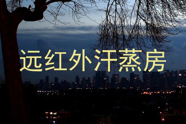 远红外汗蒸房