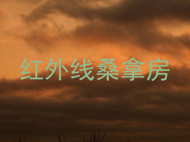 红外线桑拿房