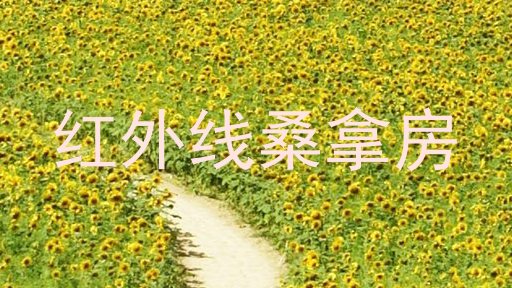 红外线桑拿房