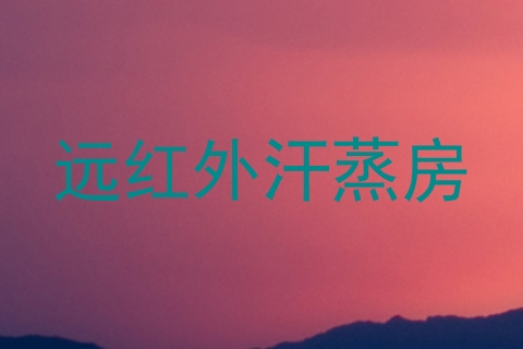 远红外汗蒸房