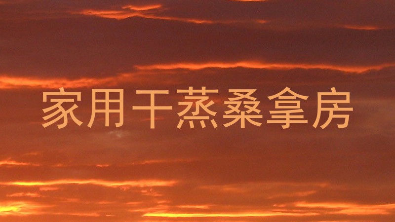 家用干蒸桑拿房