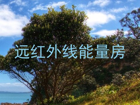 远红外线能量房