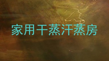 家用干蒸汗蒸房