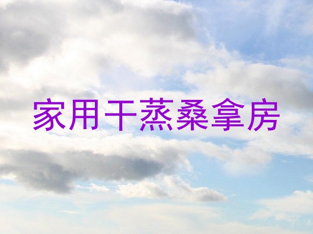 家用干蒸桑拿房