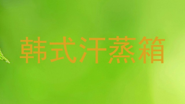 韩式汗蒸箱