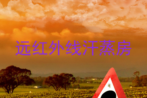 远红外线汗蒸房