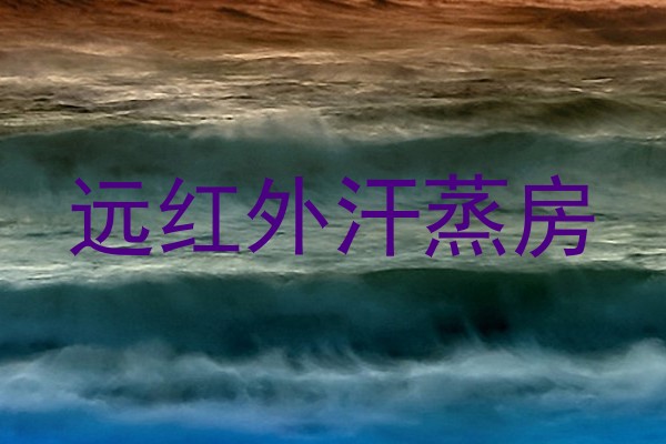 远红外汗蒸房