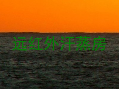 远红外汗蒸房