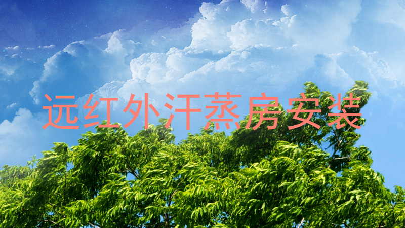远红外汗蒸房安装