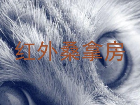 红外桑拿房