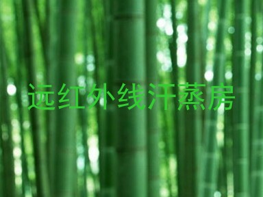 远红外线汗蒸房