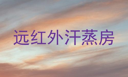 远红外汗蒸房