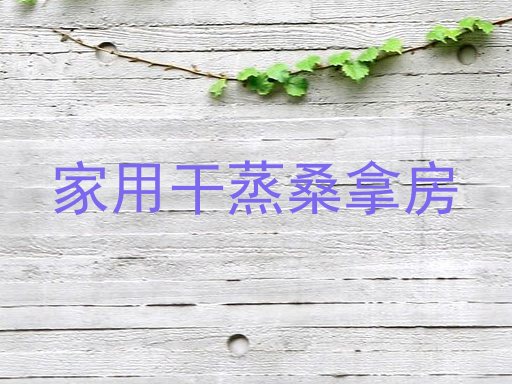 家用干蒸桑拿房
