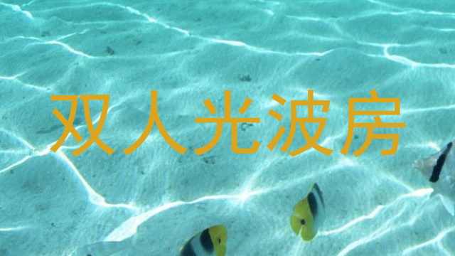 双人光波房