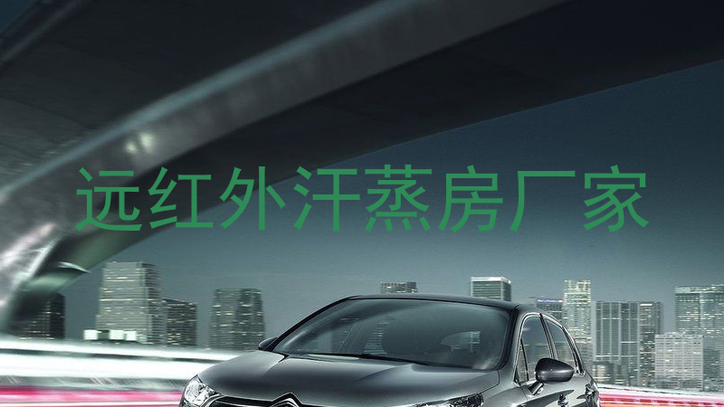 远红外汗蒸房厂家